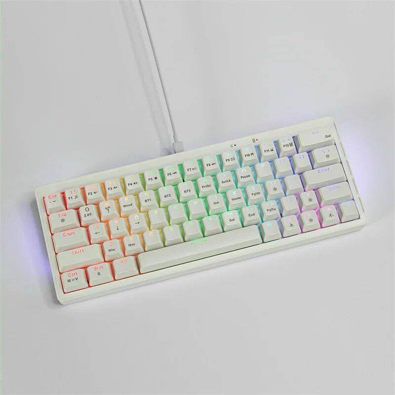 Compact 63-Key Hot-Swappable Mechanical Keyboard with Multicolor RGB Backlighting Gadgets Keyboards & Mice Color : Red Switch|Blue Switch 