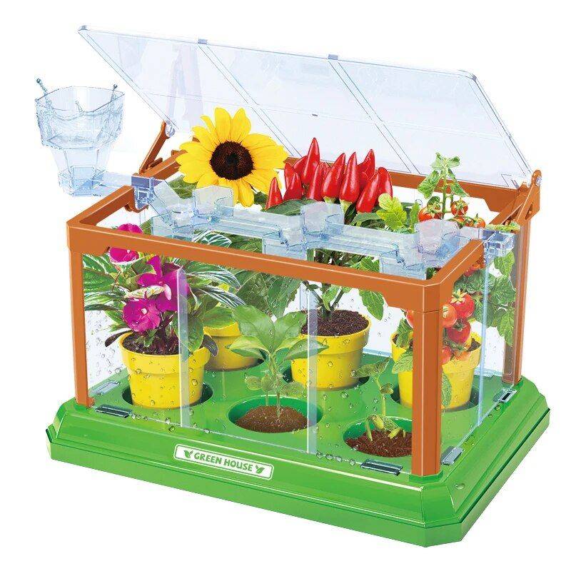 DIY Mini Garden Greenhouse Kit: Educational STEM Toy for Hands-on Learning 