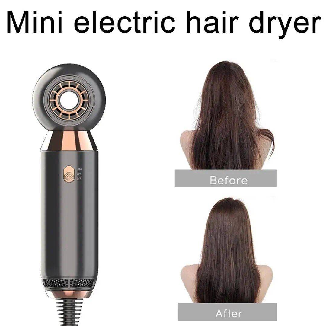 Leafless Hair Dryer 800W Fan 2 Speed Electric Negative Ionic Blower Portable Hair Dressing Dryer Hair Care & Styling Tools Health & Beauty Color : Gray 